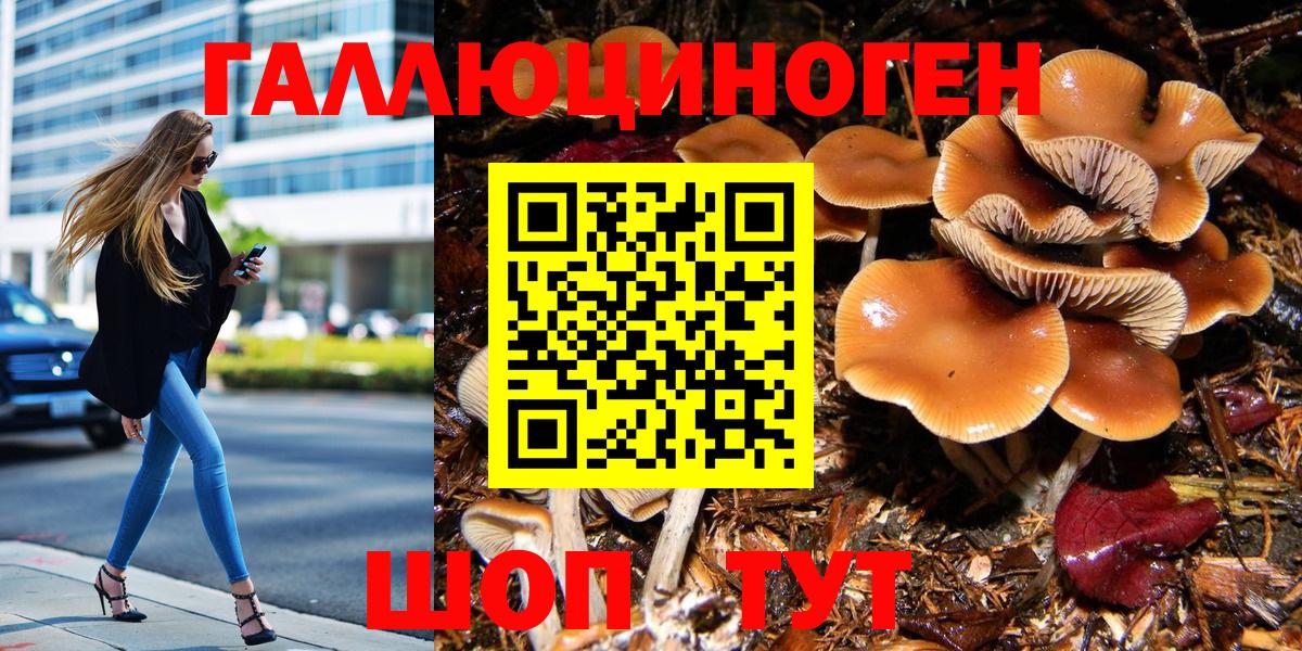 Псилоцибиновые грибы мицелий  Вход с VPN  Гагарин 