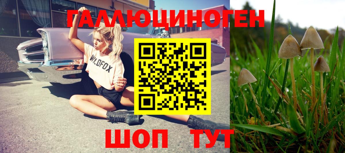 Псилоцибиновые грибы MAGIC MUSHROOMS Гагарин